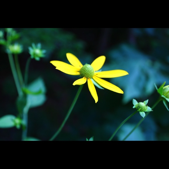 Meet your Posher, Kayla - Picture 1 of 1